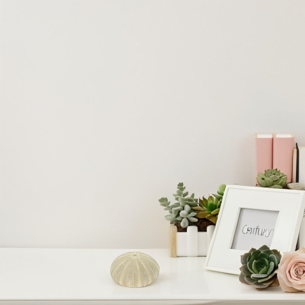 18 Conchiglie di Riccio per De - Art Craft Project recensione e prezzo